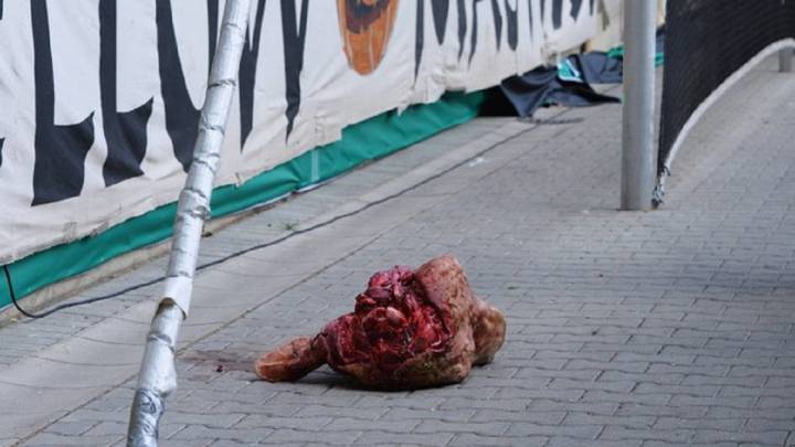 Bull's head thrown onto the field