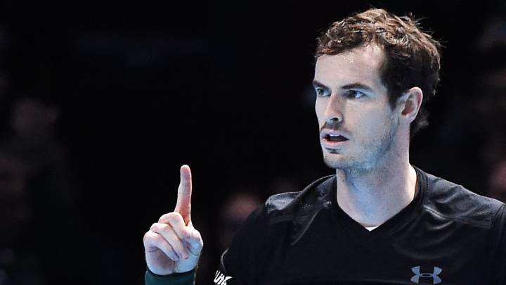 Murray tipped for knighthood after incredible rise to No 1