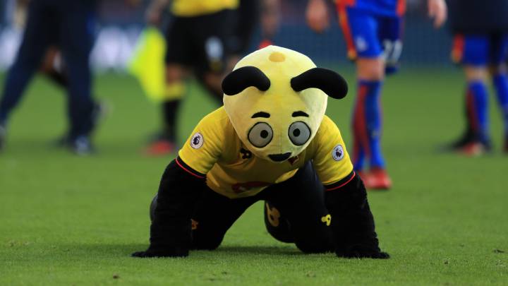 Sam Allardyce: "The Watford mascot was out of order"
