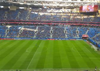 Russia in a rush to change World Cup pitch