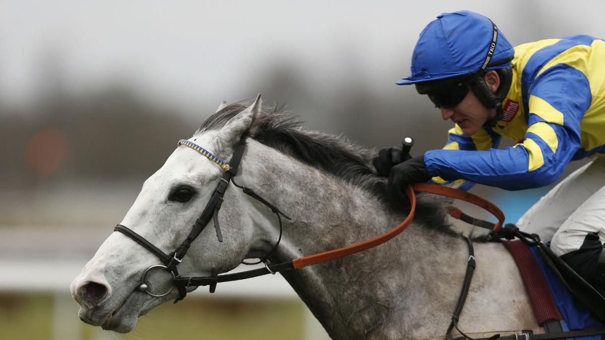 Jockey stood down after failing New Year's Day breath test
