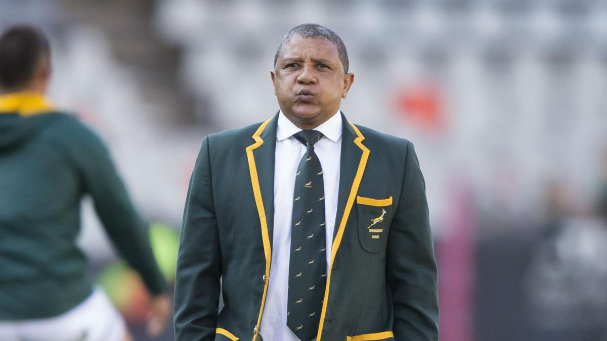 South Africa part with head coach Coetzee