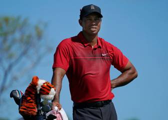 Tiger Woods set to play US PGA Valspar, Palmer events