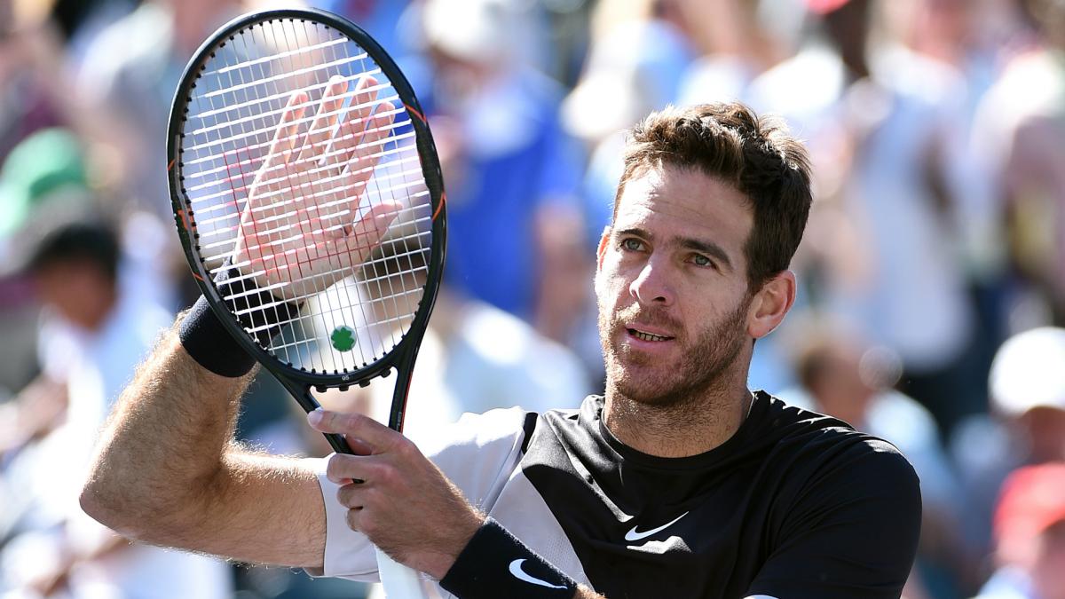 Del Potro relishing Federer showdown