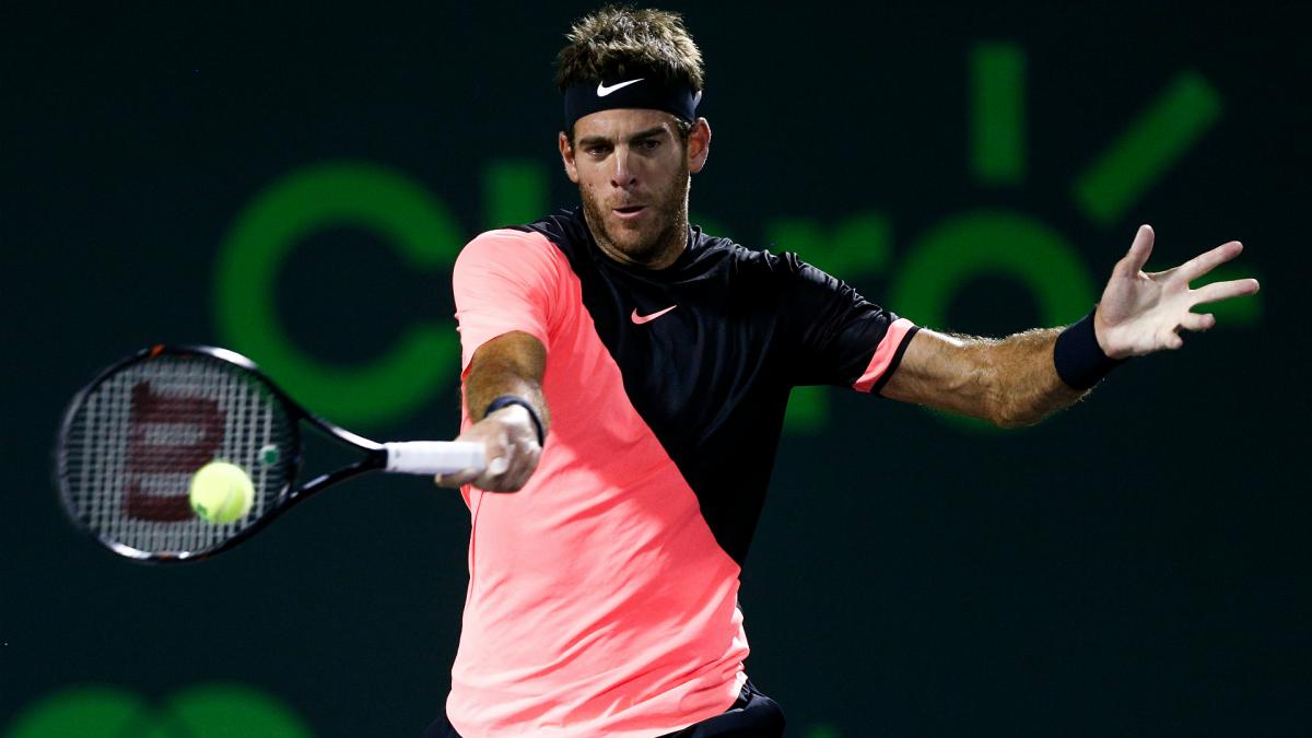 Del Potro outlasts Raonic for 15th successive win, faces Isner in semis