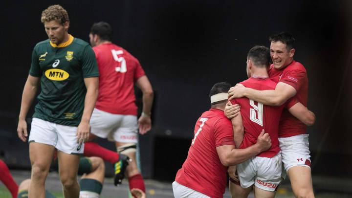 Springboks drop to all-time low no 7 in World Rugby rankings