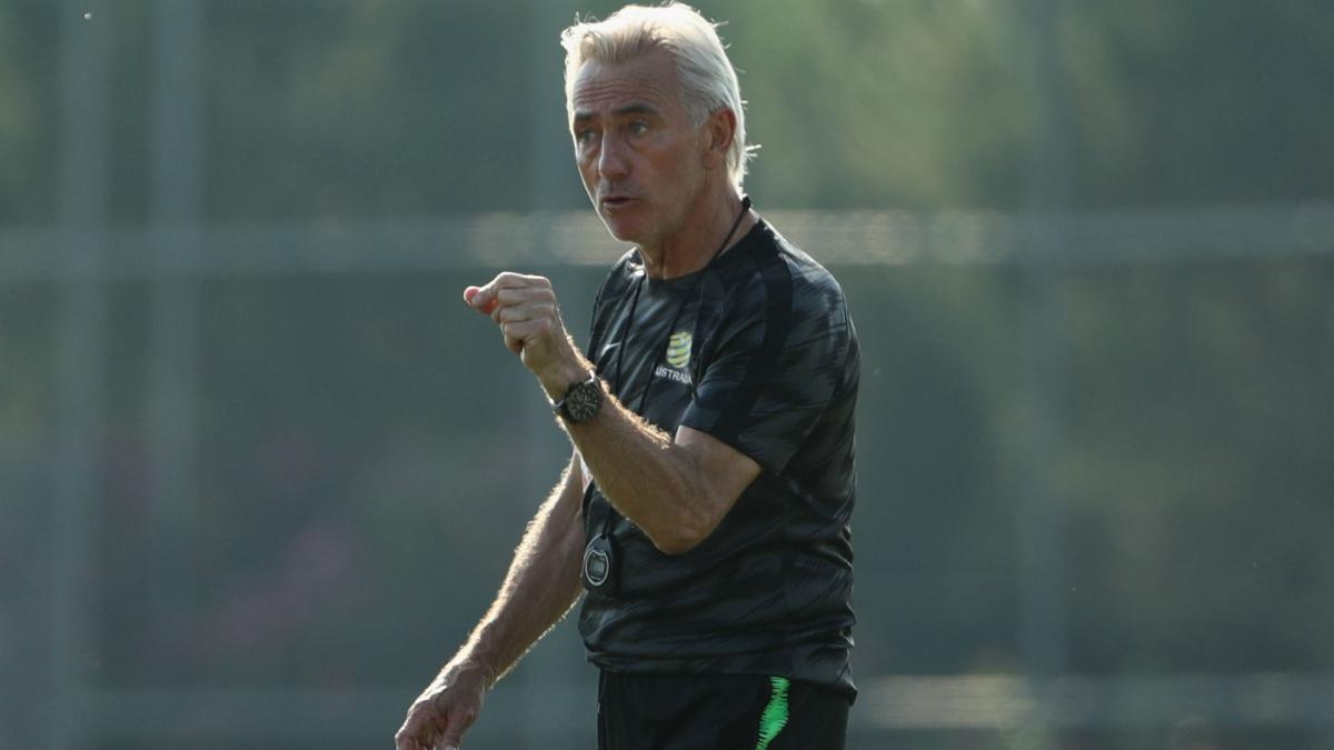 Van Marwijk paying Australia coaching staff out of his own pocket