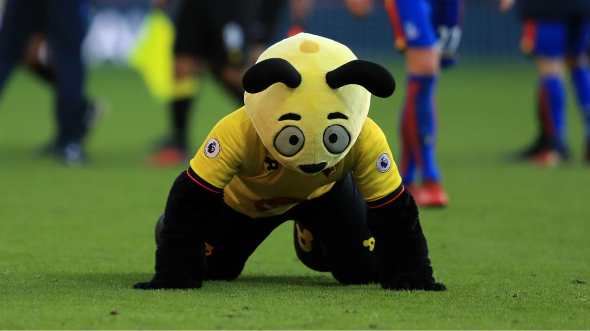 Hodgson brands Harry the Hornet 'disgraceful' over Zaha antics