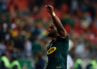 Springboks to meet Japan in Rugby World Cup warm-up
