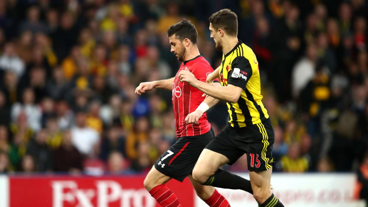 Southampton's Long scores Premier League's fastest goal