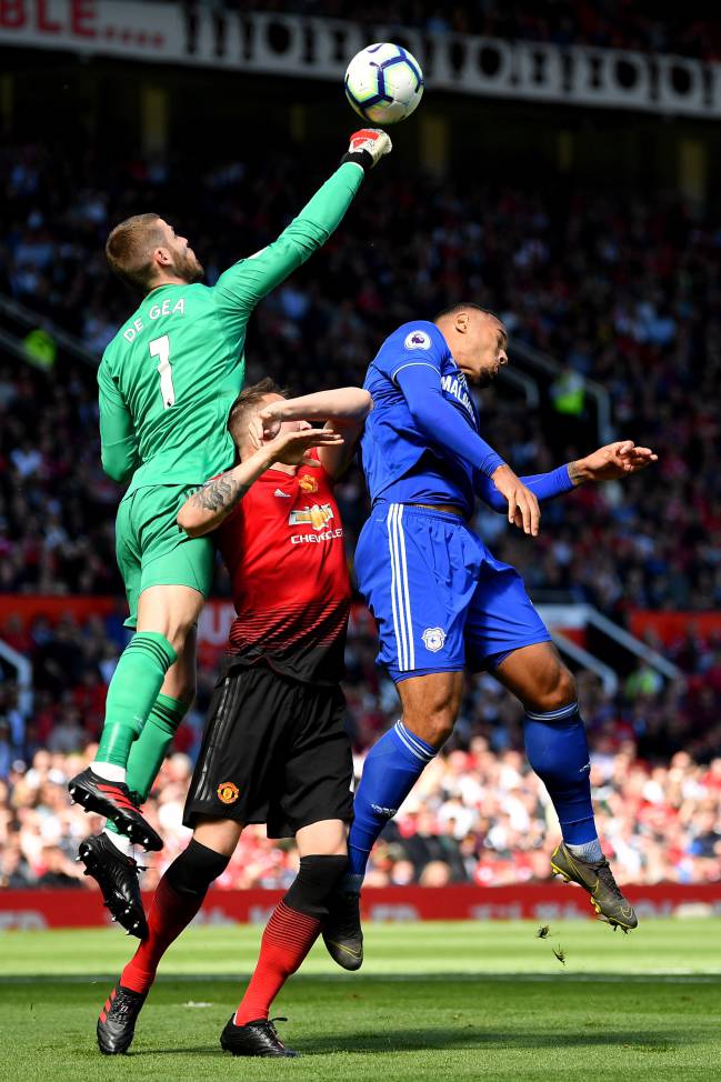 In action | David De Gea of Manchester United.