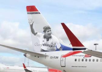 'Tail fin fake': Gary Lineker not immortalised by Norwegian
