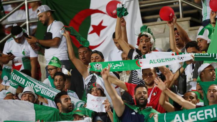 Africa Cup of Nations live: Senegal v Algeria
