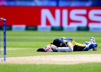 'Bees stopped play'
