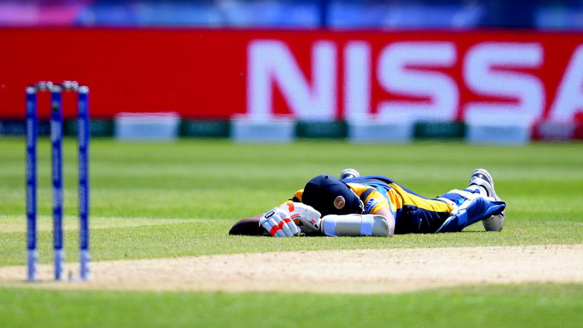 Swarm of bees interrupts Sri Lanka v South Africa
