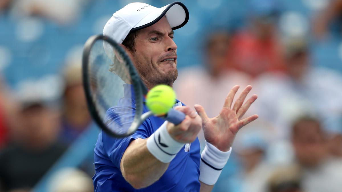 Murray hoping to face Djokovic, Nadal & Federer again