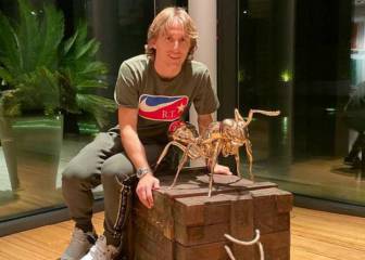 Ant get enough: Ramos and Modric's €5,000 bronze ant obsession