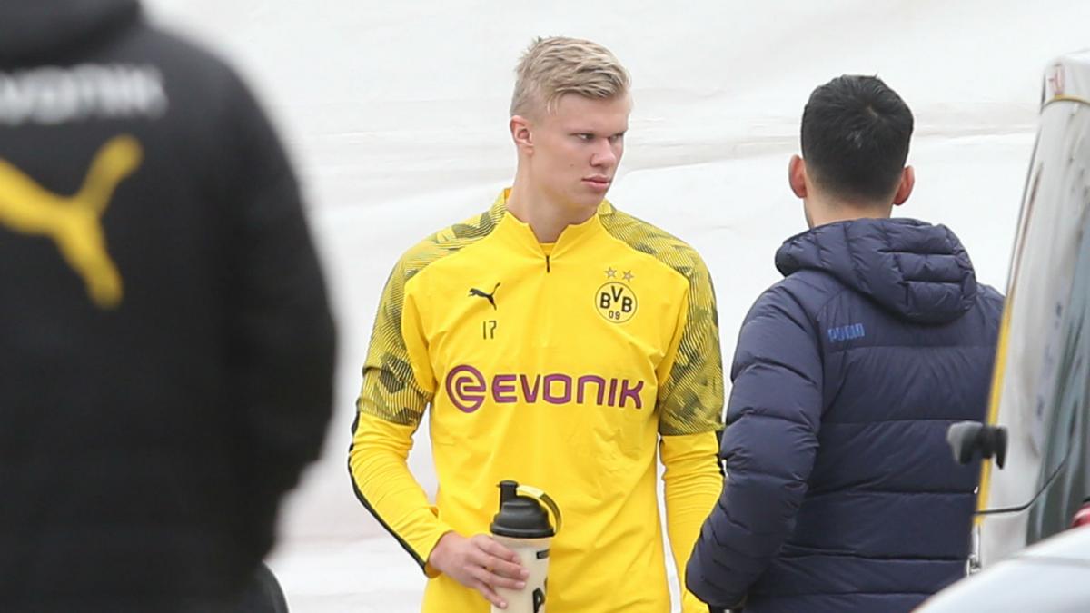Dortmund haven't had player like Haaland since Lewandowski – Reus