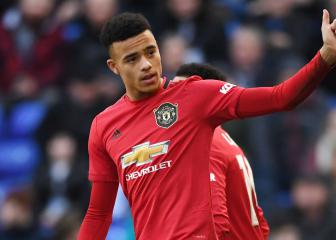 Don't pile too much pressure on Greenwood, says Ferninand