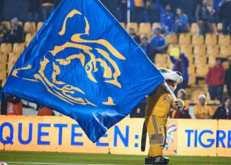 Tigres to use social-media accounts to promote local businesses in Nuevo León
