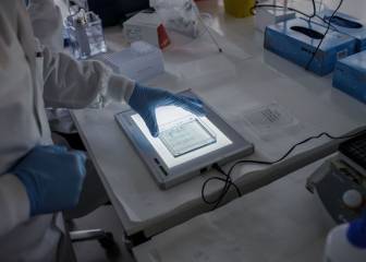 How long does the coronavirus survive on surfaces?