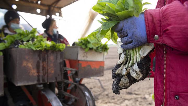 How immigrants in California can claim their stimulus check