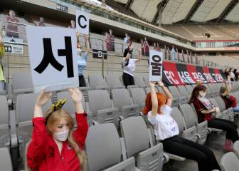 Seoul fined by K League over 'sex doll' fans