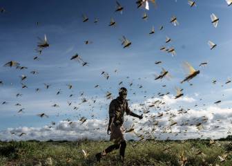 Coronavirus live: Africa latest news