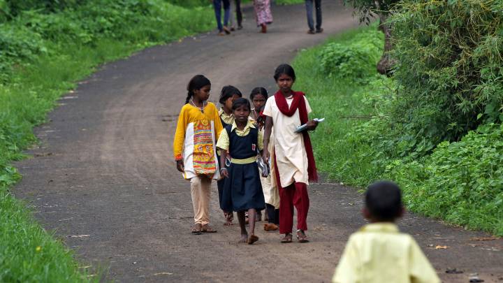 Odisha Plus 2 Science results 2020 declared: link and how to check