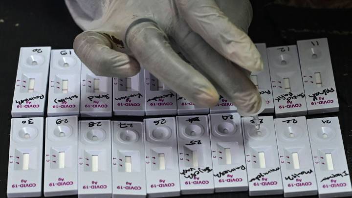 Serum Institute of India halts Oxford Covid-19 vaccine trial