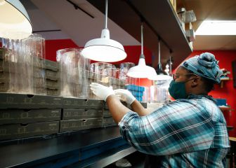 Millions to lose coronavirus unemployment benefits after Christmas