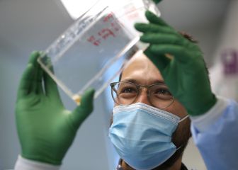 US coronavirus news summary for 11 December