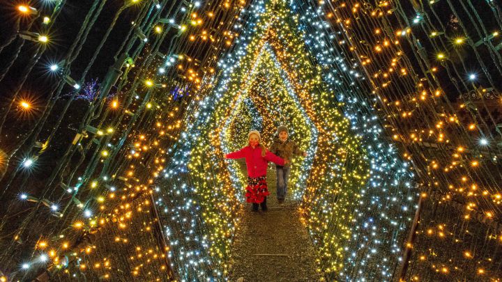 How to hang Christmas lights at home