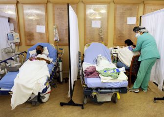 Research reveals possible lasting immunity after covid-19 infection