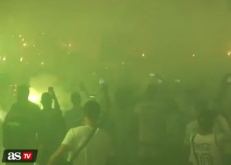 Palmeiras fans celebrate making Copa Libertadores final
