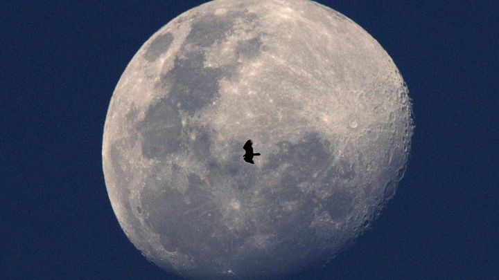 March full moon: times, when and how to watch the Worm Moon