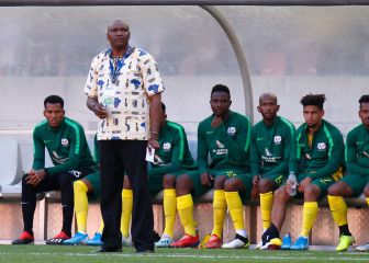 South Africa coach sacked after failure to qualify for AFCON