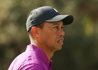 Tiger Woods: Walking on my own is my number one goal