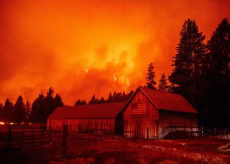 How can people impacted by California fires receive disaster unemployment assistance?