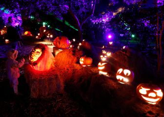 Is Halloween an official holiday?