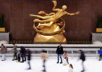 Only one tree is suitable for the Rockefeller Plaza