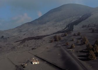 La Palma volcano, live updates: summary, 16/12 | Canary Islands