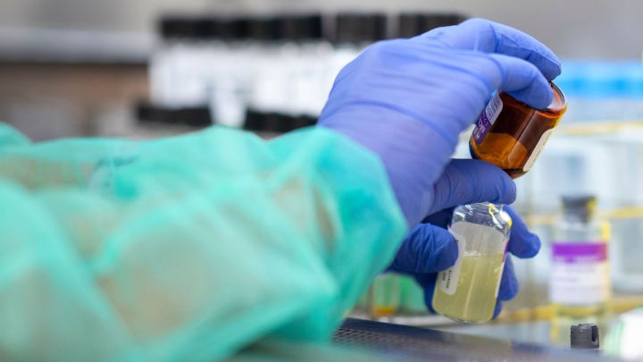 Covid-19 Live Updates Today: Omicron Cases, Stats, Biden Address, Travel Restrictions, Vaccines... - AS English 2 1640080717 722369 1640095769 noticia normal recorte1