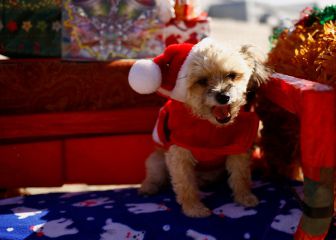 A guide to holiday messages