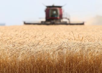 World Food Program: shortages are happening and the situation is 'going to get worse'