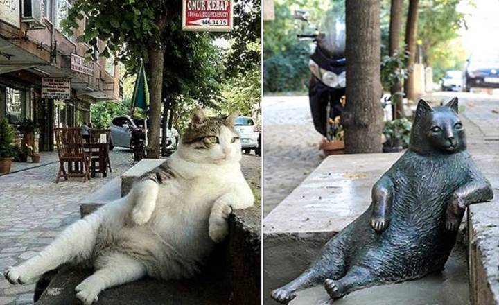 Una estatua en honor del gato más tranquilo del mundo