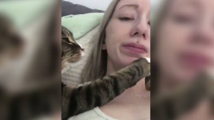 La cobra definitiva es la de esta chica a su gato