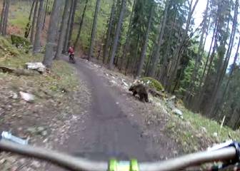 Este oso le da un buen susto a un ciclista en mountain bike