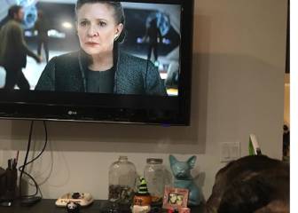 El perro de Carrie Fisher se 'emociona' viendo el trailer de lo nuevo de Star Wars