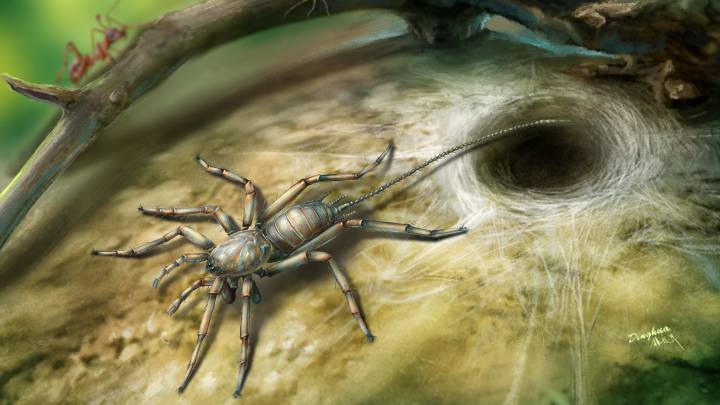 Hallan un insecto, mitad araña y mitad escorpión, 100 millones de años después